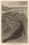Image ID 823567