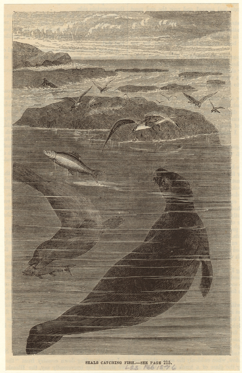 Image ID 823567
