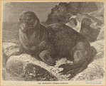 Image ID 823569