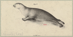 Image ID 823570