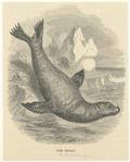 Image ID 823573