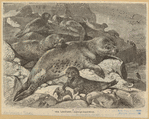 Image ID 823576
