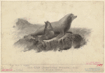 Image ID 823580