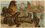 Image ID 823584
