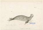 Image ID 823589