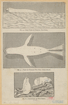 Image ID 823590