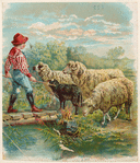 Image ID 823595