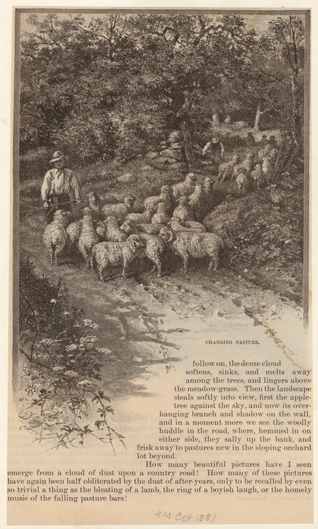 Image ID 823596
