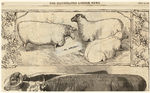 Image ID 823608