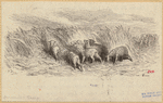 Image ID 823614