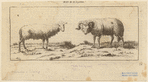 Image ID 823616