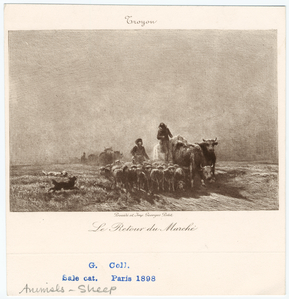 Image ID 823617