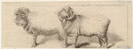 Image ID 823618