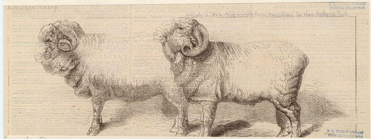 Image ID 823618
