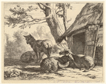 Image ID 823623