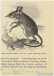Image ID 823629