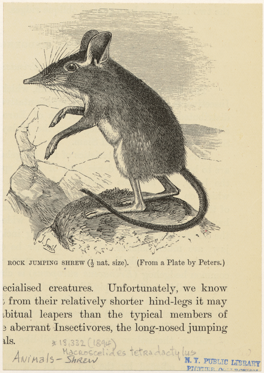 Image ID 823629
