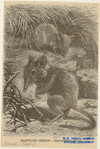 Image ID 823632