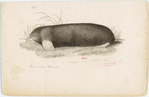 Image ID 823633