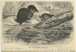 Image ID 823636
