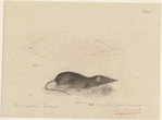 Image ID 823637