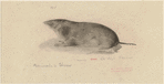 Image ID 823639