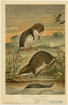 Image ID 823642