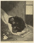Image ID 823644
