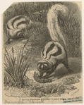 Image ID 823646