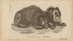 Image ID 823651