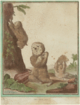 Image ID 823652
