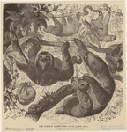 Image ID 823656
