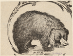Image ID 823658