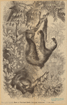Image ID 823660
