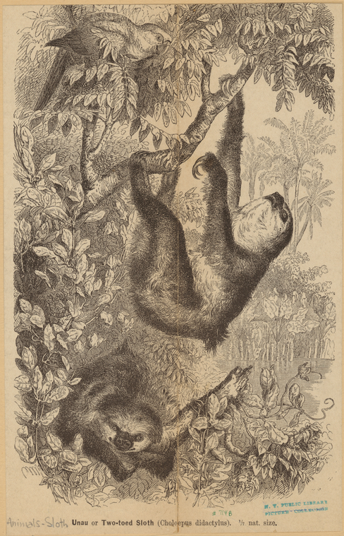 Image ID 823660
