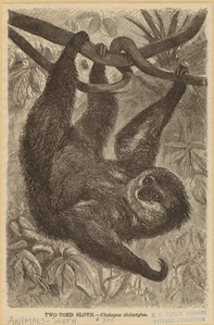 Image ID 823662