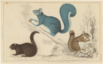 Image ID 823665