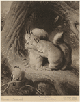 Image ID 823666