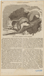 Image ID 823667