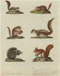 Image ID 823668