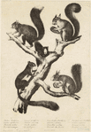 Image ID 823669