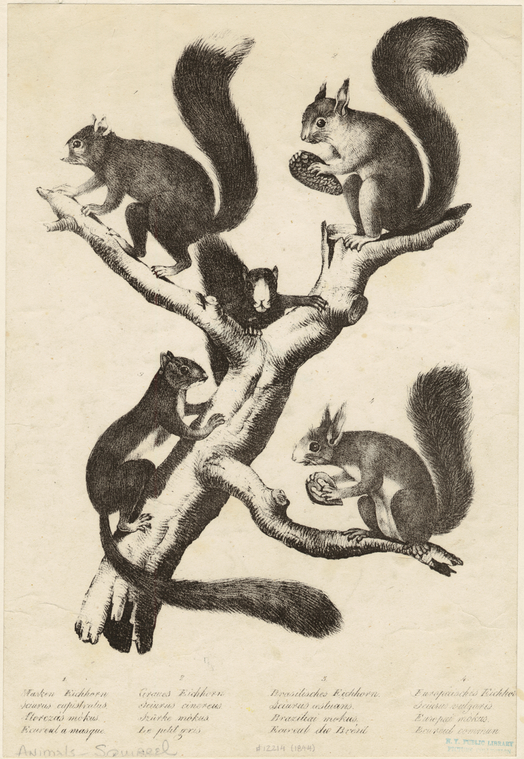 Image ID 823669
