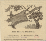 Image ID 823670