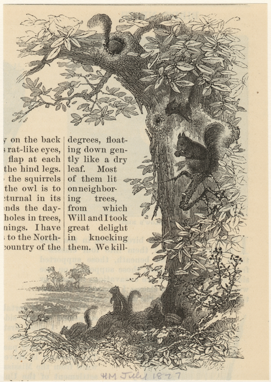Image ID 823671
