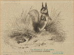 Image ID 823672