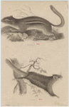 Image ID 823673
