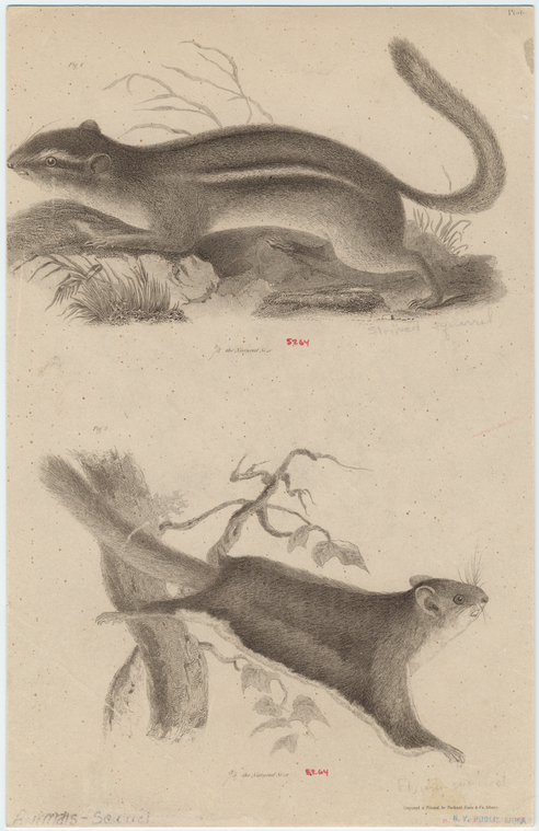 Image ID 823673
