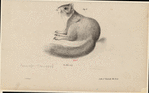 Image ID 823675