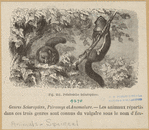 Image ID 823676