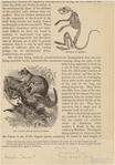 Image ID 823677